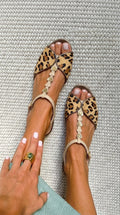 Leopardo