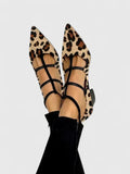 Leopardo