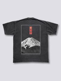 Fuji Esencia Camiseta Vintage